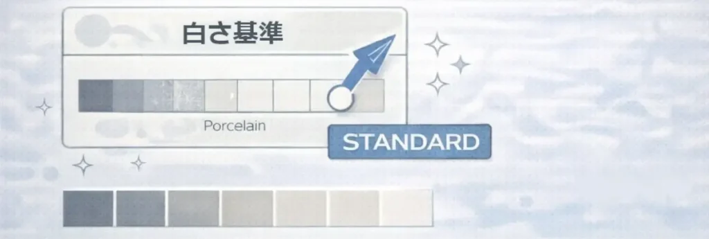 「白さ基準」と書かれたゲージが右上に振り切れ、「Porcelain」「STANDARD」と表示された図解。肌の白さが評価基準として標準化されることを示す。