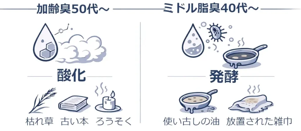 左に「加齢臭 50代〜（酸化）」、右に「ミドル脂臭 40代〜（発酵）」を並べ、枯れ草・古い本・ろうそく／使い古した油・放置された古い雑巾のアイコンでニオイの質を示した横長インフォグラフィック。