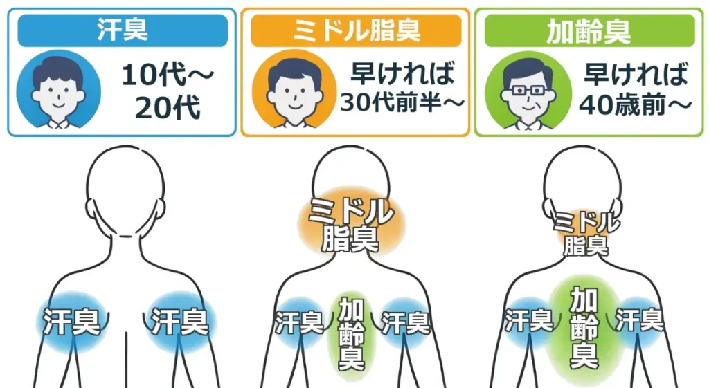 3区分(青=汗臭、橙=ミドル脂臭、緑=加齢臭)で、年代目安と「背中側の発生部位」を色付きのぼかしで示した年代別体臭発生分布図。左は10代〜20代で肩まわりに汗臭、中央は早ければ30代前半〜で首後ろにミドル脂臭+肩に汗臭+背中中央に加齢臭、右は早ければ40歳前〜で首横にミドル脂臭+肩に汗臭+背中に大きめの加齢臭。