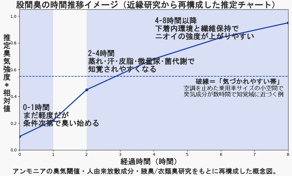 股間臭の時間推移を示した推定チャート。横軸は経過時間、縦軸は推定臭気強度の相対値。臭気強度は0時間時点の約0.1から、1時間で約0.22、2時間で約0.45、4時間で約0.68、6時間で約0.84、8時間で約0.95へ右肩上がりで増加する。0から1時間は「まだ軽度だが条件次第で臭い始める」、2から4時間は「蒸れ・汗・皮脂・微量尿・菌代謝で知覚されやすくなる」、4から8時間以降は「下着内環境と繊維保持でニオイの強度が上がりやすい」と注記されている。グラフ中央には「気づかれやすい帯」を示す破線があり、空調を止めた乗用車サイズの小空間で臭気成分が数時間で知覚域に近づく例として説明されている。下部には、アンモニアの臭気閾値、人由来放散成分、腋臭、衣類臭研究をもとに再構成した概念図である旨の注記がある。