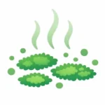 白背景に、緑色のカビの塊が3つと周囲の胞子の点、上に立ちのぼる臭気を示す波線が描かれている。