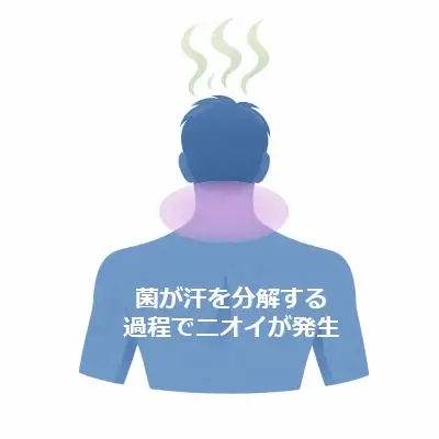 白背景に、後ろ向きの上半身シルエットが青色で描かれ、首の後ろ（うなじ）付近が紫色で強調されている。頭上に臭気を示す波線があり、中央に説明文の日本語テキストが重なっている。