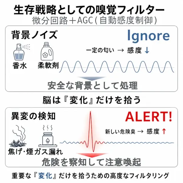 嗅覚が一定の匂いを背景ノイズとして無視し、新しい危険臭だけを検知する仕組みを、上下2段の波形で示したインフォグラフィック。