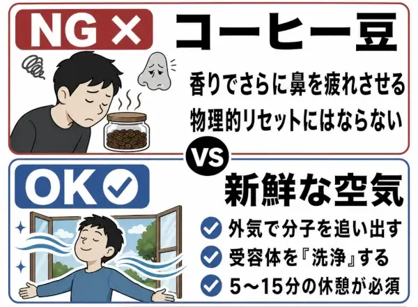 コーヒー豆は嗅覚リセットにならず、新鮮な空気と5〜15分の休憩が正しい対処法であることを示す、NG・OK比較インフォグラフィック。