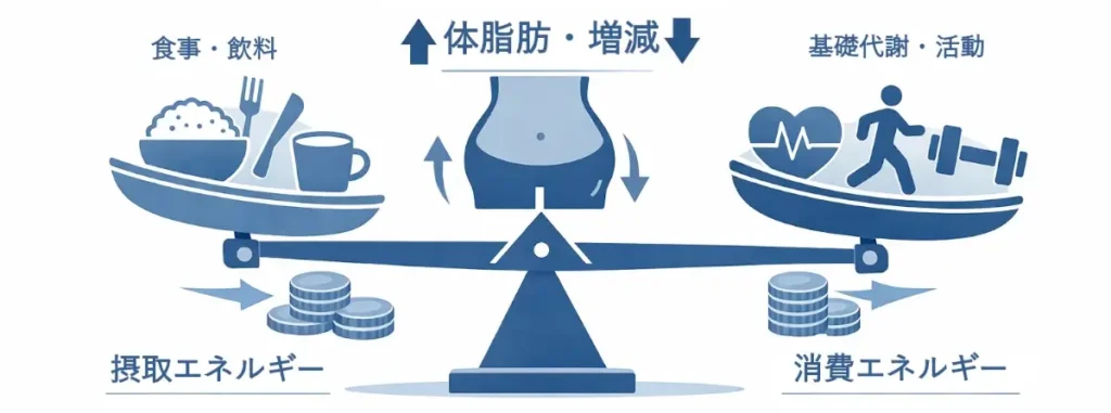 青系で統一された横長のインフォグラフィック。中央に天秤があり、左皿にはご飯茶碗・フォーク・コップが載って「摂取エネルギー（食事・飲料）」、右皿にはハート・歩く人・ダンベルが載って「消費エネルギー（基礎代謝・活動）」と表示されている。上部中央には腹部のアイコンと「体脂肪 増減」の文字があり、エネルギー収支によって体脂肪が増減することを示している。背景は白。