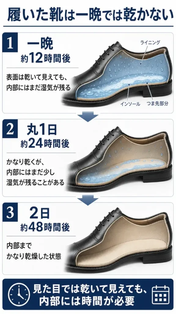 履いた靴の内部に残る湿気を、一晩の約12時間後、約24時間後、約48時間後で比較した図。時間の経過とともに、中敷きや内張り、つま先部分の湿気が減っていく様子を示している。